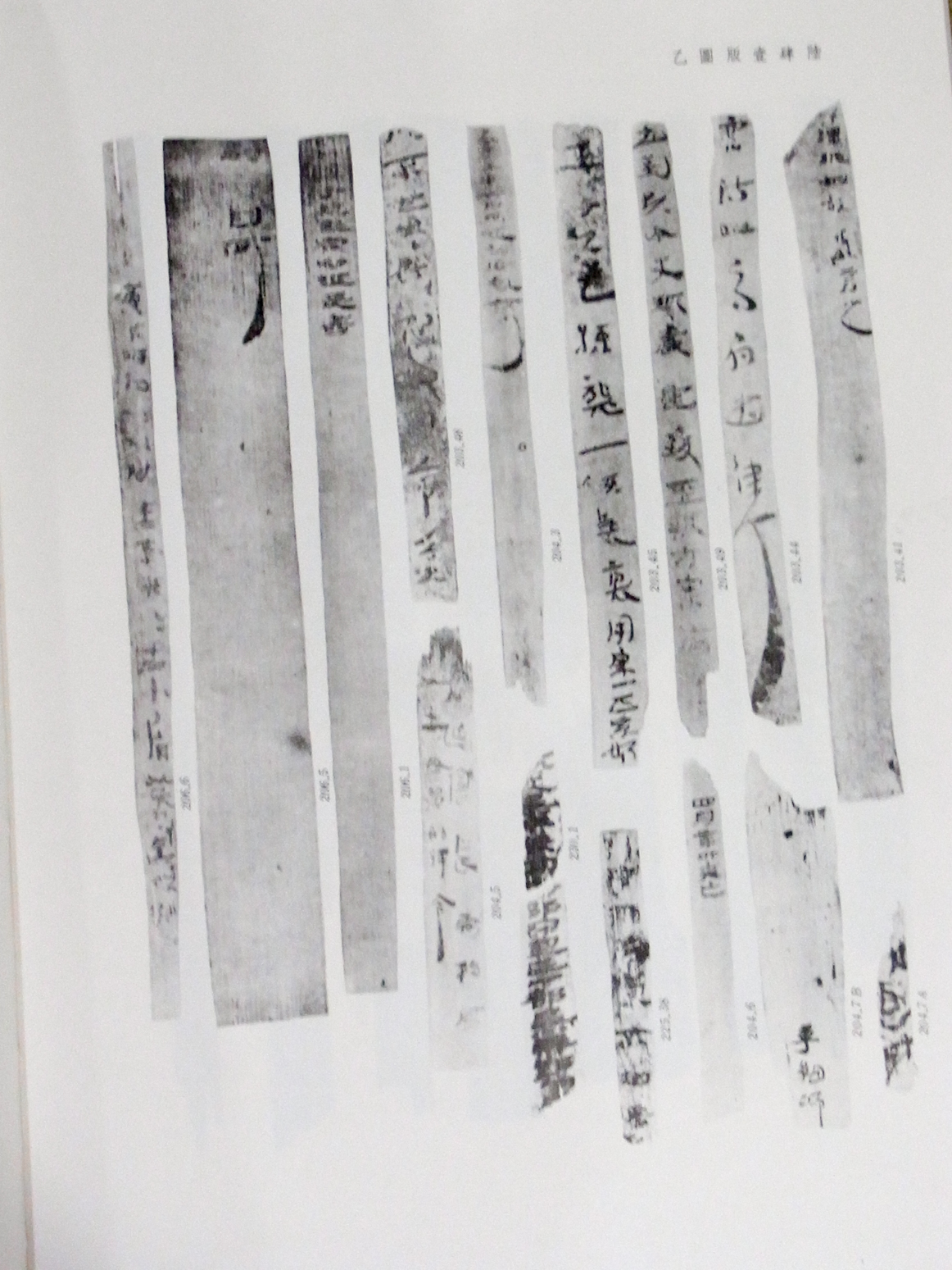漢代居延簡 検索書道金石書画拓本法帖古書和本唐本竹簡